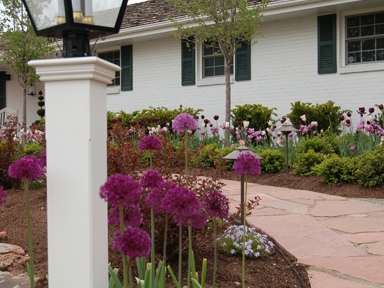 Beautiful landscaped backyard