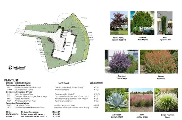 Detailed landscape design with plant selection