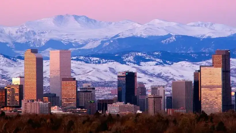 Local lawn care experience